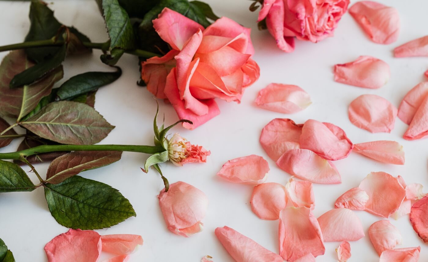 I capture memories with flowers — this is how